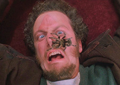 to be afraid of smb/smth