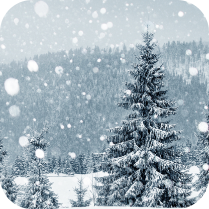 blizzard