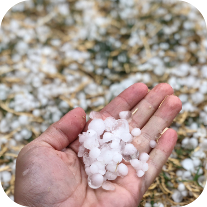 hail